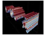 Turbulence and Mixing from Neighbouring Stratified Shear Layers (Journal of Fluid Mechanics, 2024)